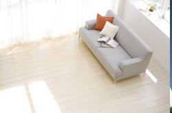 �N���j�b�N�O��